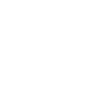 Syntheu's emblem