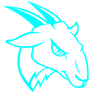 TagirUfa's emblem