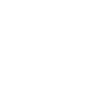 InstantNoah's emblem