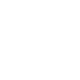 Evz_9A's emblem
