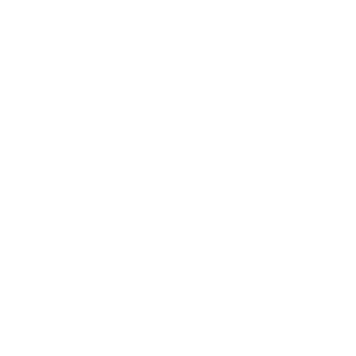 Romanya228's emblem