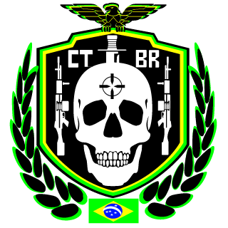 Conexao Team BR's emblem