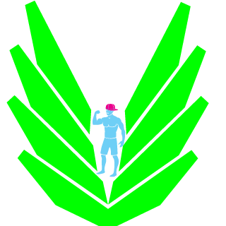 Bathman_CZ's emblem