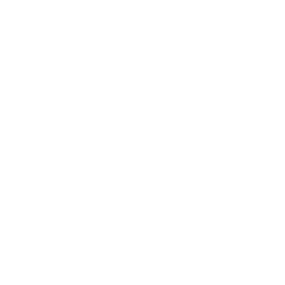 Core507's emblem