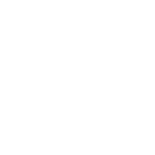 dndudto123's emblem
