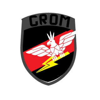 MasterIon15's emblem
