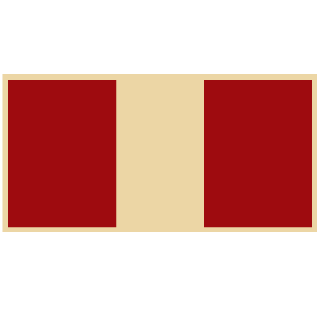 PainSM's emblem