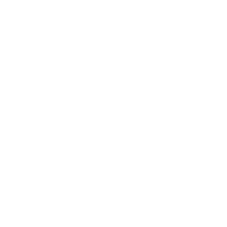 TheRagingSound's emblem