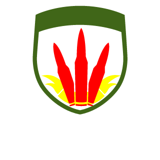 Gorzyk18's emblem