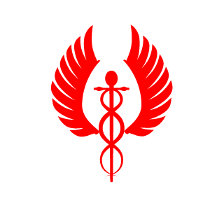 N1P4's emblem