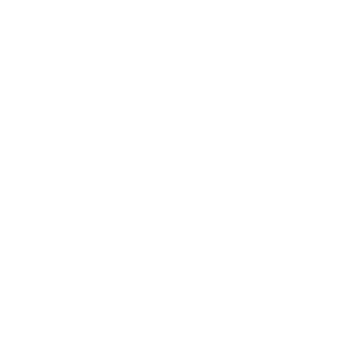 LAGADIN's emblem