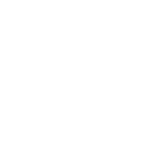 nyvoc's emblem