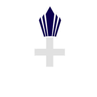 nikita_sor15's emblem