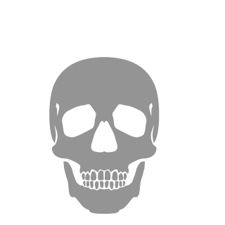 Leandro_Droese's emblem