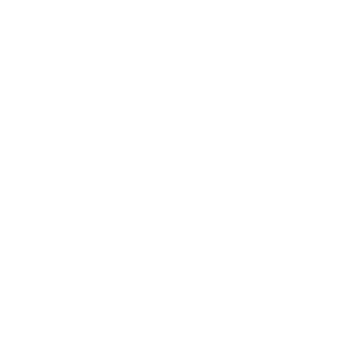 Soldier-Chung's emblem