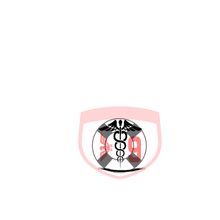 FRNUMBER9's emblem