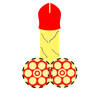 machu4123's emblem