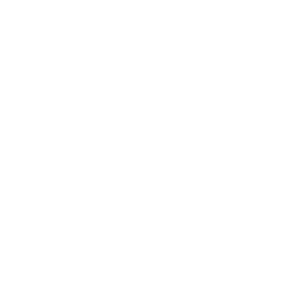 dmitrii_aleks's emblem