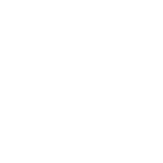 BravoowFPS's emblem