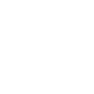 netdavid's emblem