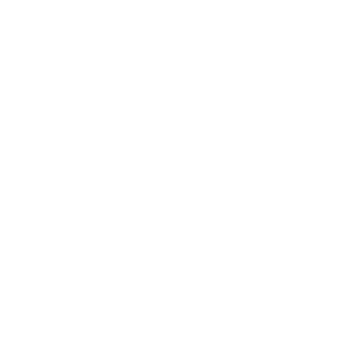 107Spartan's emblem