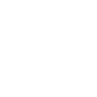 Sgg113's emblem