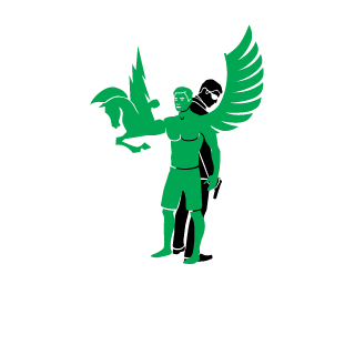 hank554316's emblem