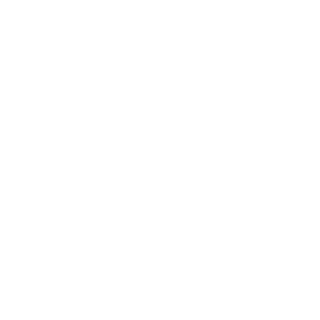 HOTELWIFI24's emblem