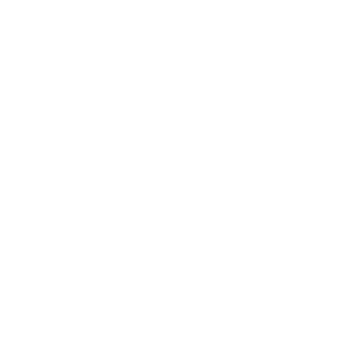 SCHNEIDER_BNU's emblem