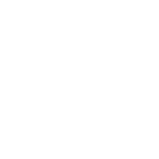 DiarrheaSmoothie's emblem