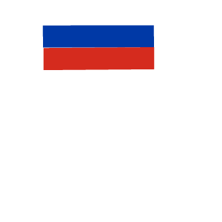 N1nD1s's emblem