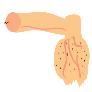 cyrilFIGGIZ's emblem