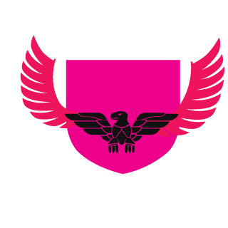 BlackWraith55's emblem