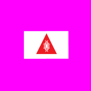 CHIC0_MINEIRO's emblem