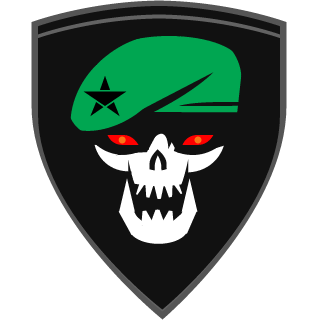 IRanOutOfBullets's emblem