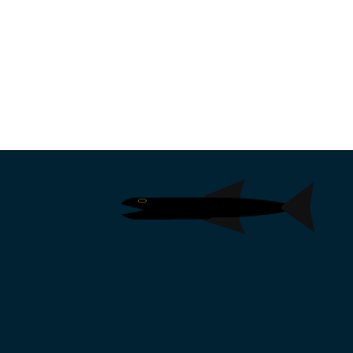 DarkfishNZ's emblem