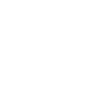 lIllIllllIIlIlII's emblem