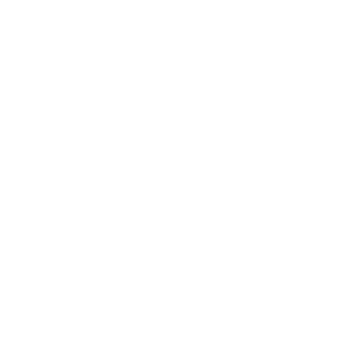 laserstone03's emblem