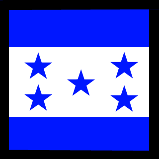 BCA300's emblem