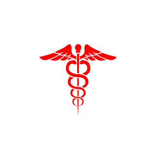 XRapidFanatic's emblem