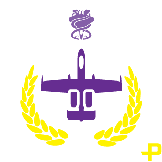 sasaxacz's emblem