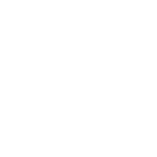 BARSIK_BIBA's emblem