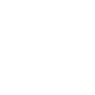 FsR_Innovation's emblem