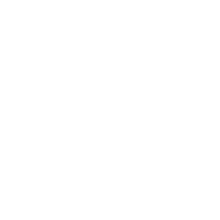 24739334's emblem