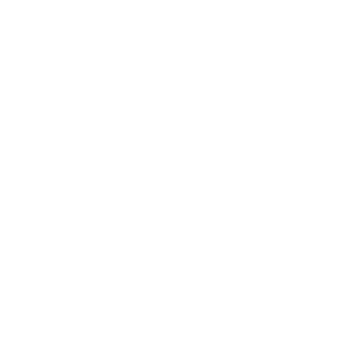 SleezySteez's emblem