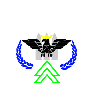 RetroWolf85's emblem