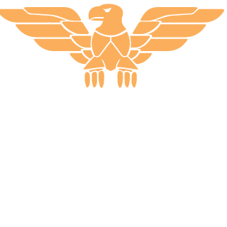 ruidemeireles's emblem