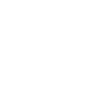 yousefalhendy254's emblem