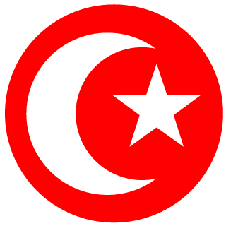 TwinTurboR34's emblem