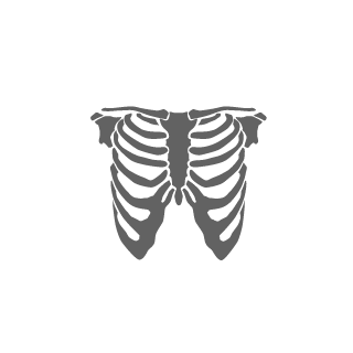 LendavOravViki's emblem